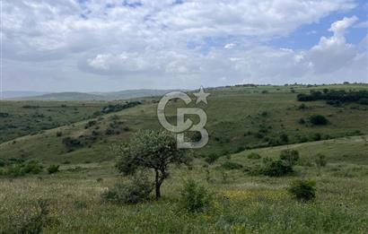 BALIKESİR KARESİ KÖTEYLİ'DE SATILIK TARLA...! 14.901 m2