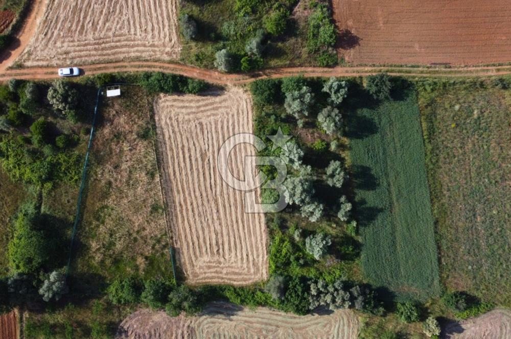 Çanakkale Lapseki Dışbudak Köyü 524 m² Yolu Olan Satılık Tarla