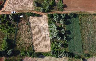 Çanakkale Lapseki Dışbudak Köyü 524 m² Yolu Olan Satılık Tarla