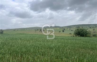 BALIKESİR KARESİ KALAYCILAR'DA SATILIK TARLA..! 11.609 m2