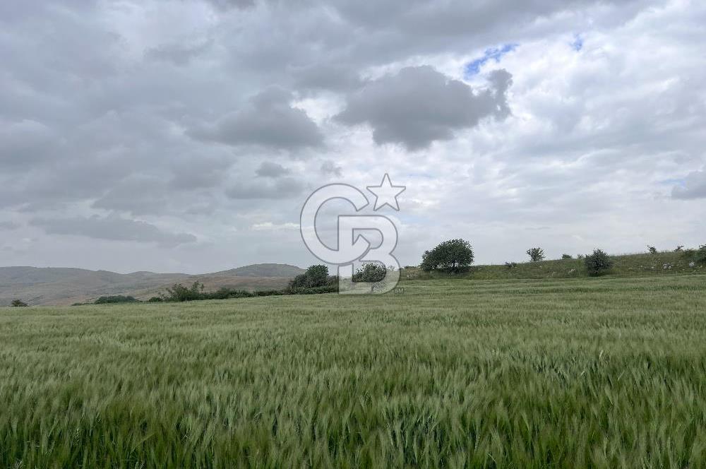 BALIKESİR KARESİ KÖTEYLİ'DE SATILIK TARLA..! 6.344 m2