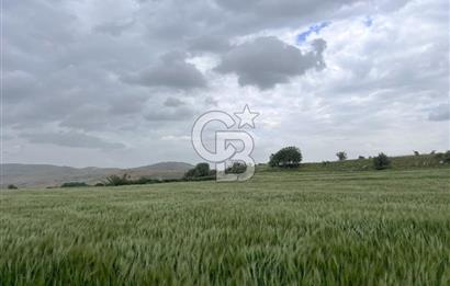 BALIKESİR KARESİ KÖTEYLİ'DE SATILIK TARLA..! 6.344 m2