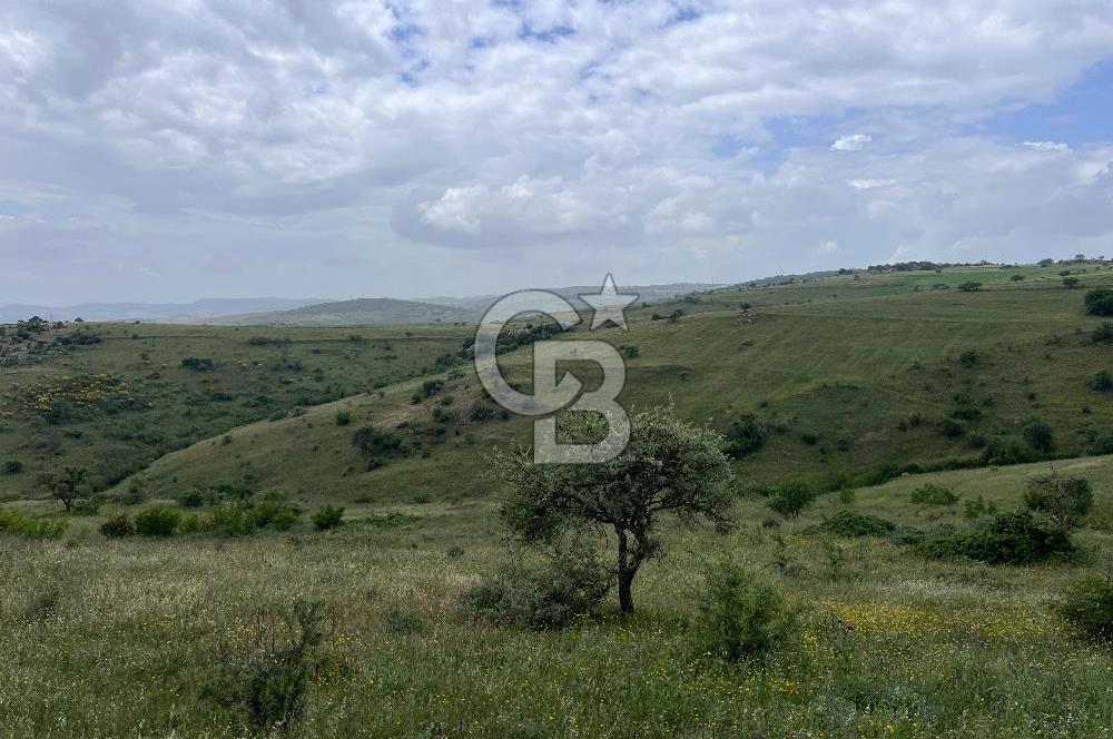 BALIKESİR KARESİ KÖTEYLİ'DE SATILIK TARLA...! 14.901 m2