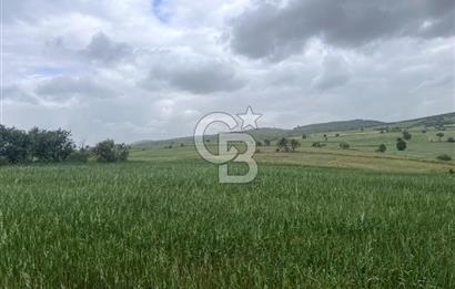 BALIKESİR KARESİ KALAYCILAR'DA SATILIK TARLA..! 11.609 m2