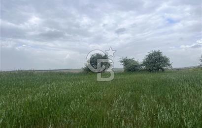 BALIKESİR KARESİ KALAYCILAR'DA SATILIK TARLA..! 11.609 m2