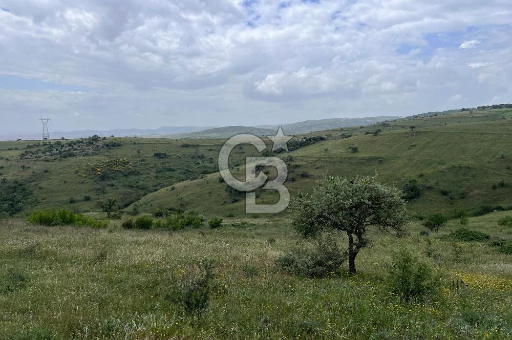 BALIKESİR KARESİ KÖTEYLİ'DE SATILIK TARLA...! 14.901 m2