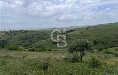 BALIKESİR KARESİ KÖTEYLİ'DE SATILIK TARLA...! 14.901 m2