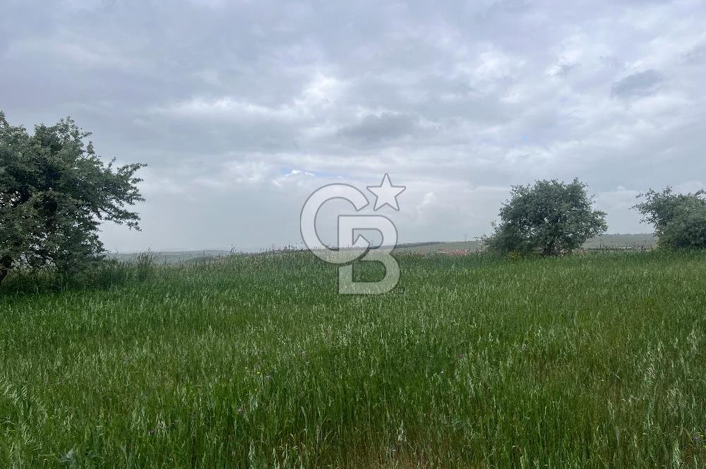 BALIKESİR KARESİ KALAYCILAR'DA SATILIK TARLA..! 11.609 m2