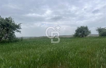 BALIKESİR KARESİ KALAYCILAR'DA SATILIK TARLA..! 11.609 m2