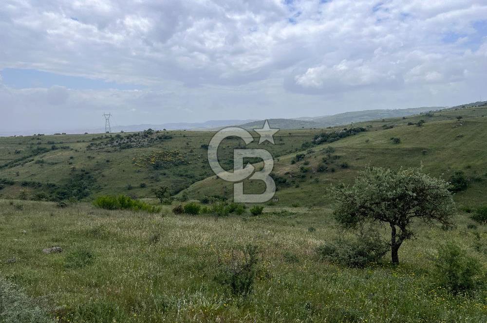 BALIKESİR KARESİ KÖTEYLİ'DE SATILIK TARLA...! 14.901 m2