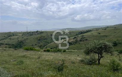 BALIKESİR KARESİ KÖTEYLİ'DE SATILIK TARLA...! 14.901 m2