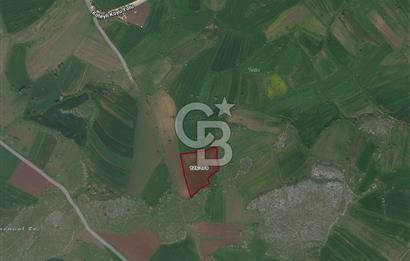 BALIKESİR KARESİ KÖTEYLİ'DE SATILIK TARLA..! 6.344 m2