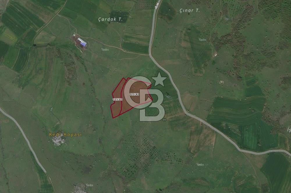 BALIKESİR KARESİ KÖTEYLİ'DE SATILIK TARLA...! 14.901 m2