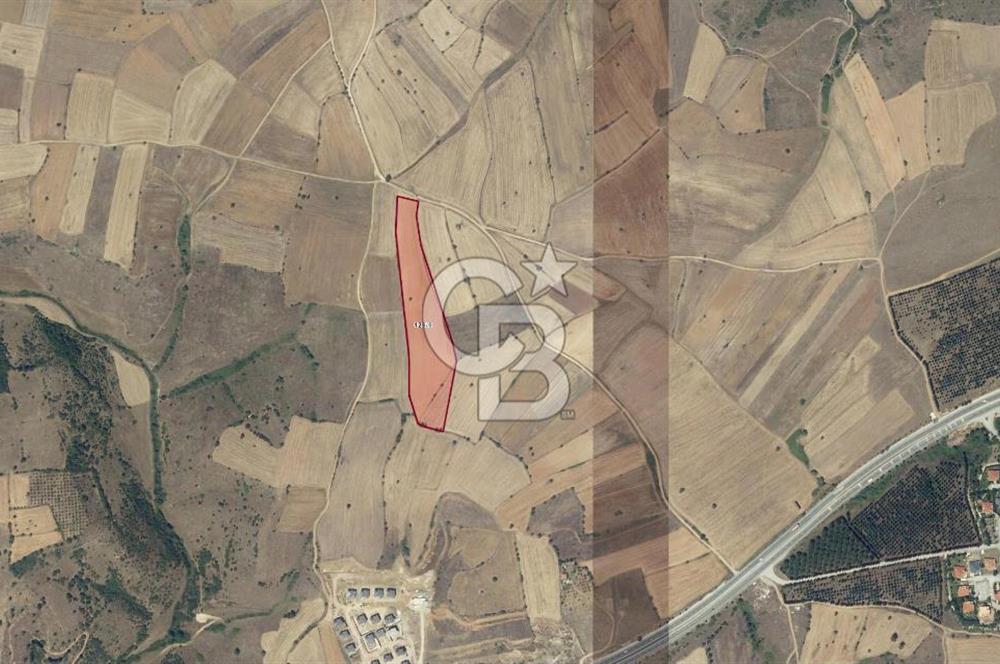 BALIKESİR KARESİ NAİPLİ'DE YOLA CEPHE, EMSALSİZ TARLA! 21.330 m2