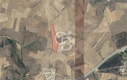 BALIKESİR KARESİ NAİPLİ'DE YOLA CEPHE, EMSALSİZ TARLA! 21.330 m2