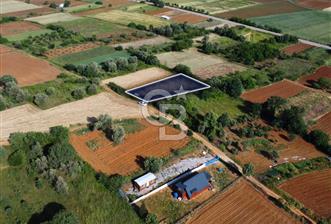 Çanakkale Lapseki Dışbudak Köyü 983 m² Yolu Olan Satılık Tarla