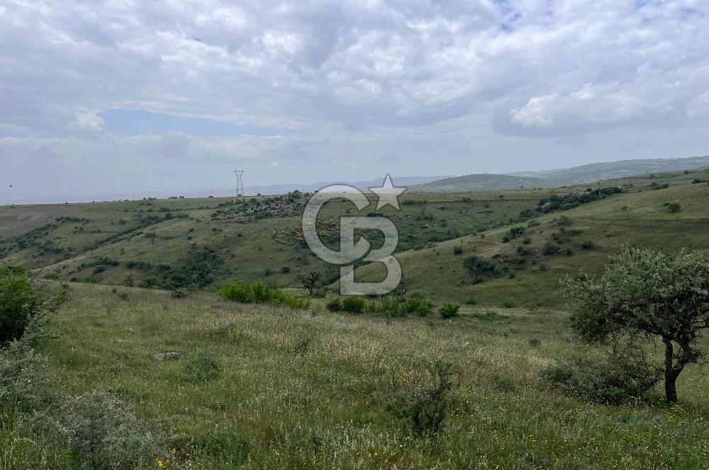 BALIKESİR KARESİ KÖTEYLİ'DE SATILIK TARLA...! 14.901 m2
