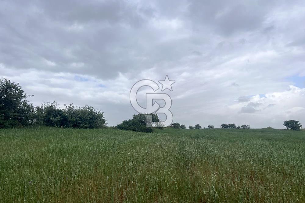 BALIKESİR KARESİ KALAYCILAR'DA SATILIK TARLA..! 11.609 m2
