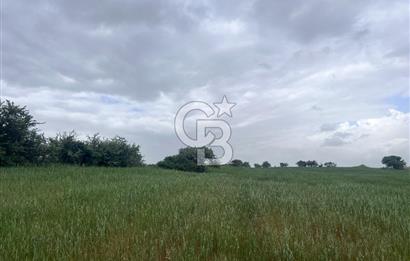 BALIKESİR KARESİ KALAYCILAR'DA SATILIK TARLA..! 11.609 m2