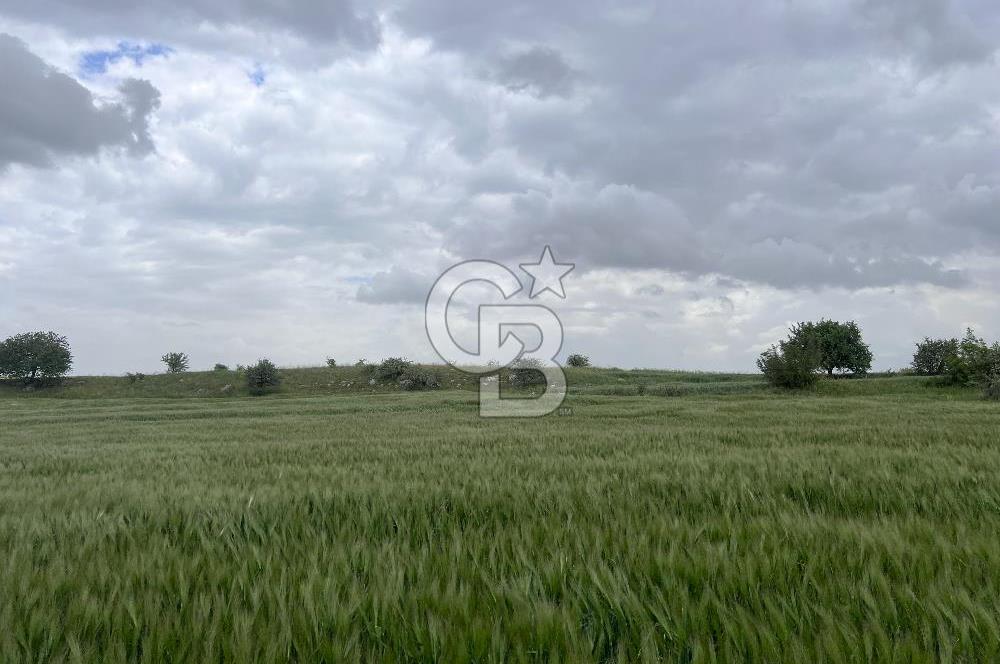 BALIKESİR KARESİ KÖTEYLİ'DE SATILIK TARLA..! 6.344 m2