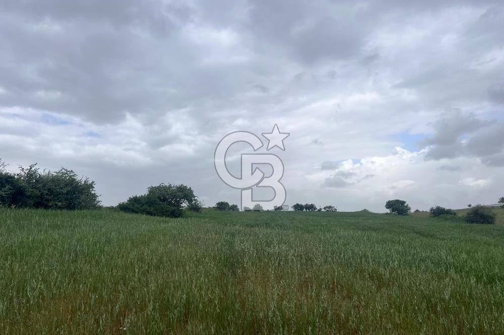 BALIKESİR KARESİ KALAYCILAR'DA SATILIK TARLA..! 11.609 m2