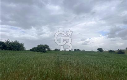 BALIKESİR KARESİ KALAYCILAR'DA SATILIK TARLA..! 11.609 m2