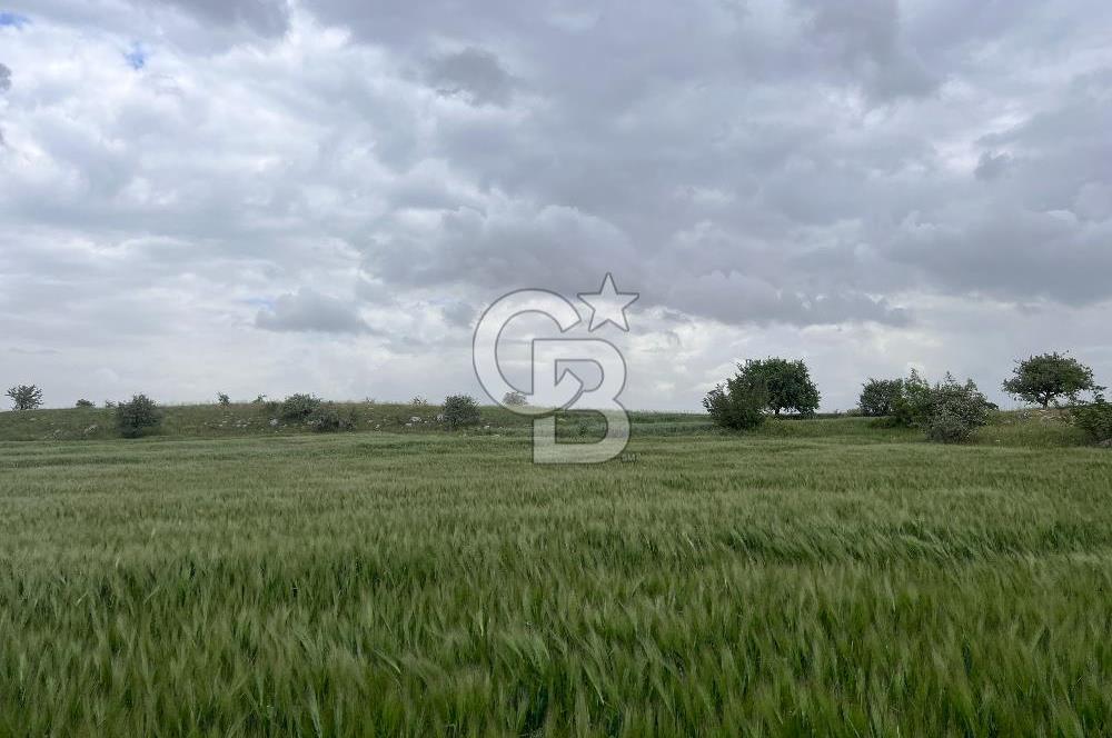 BALIKESİR KARESİ KÖTEYLİ'DE SATILIK TARLA..! 6.344 m2