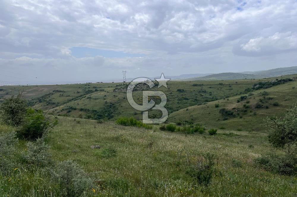 BALIKESİR KARESİ KÖTEYLİ'DE SATILIK TARLA...! 14.901 m2