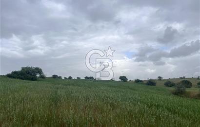 BALIKESİR KARESİ KALAYCILAR'DA SATILIK TARLA..! 11.609 m2