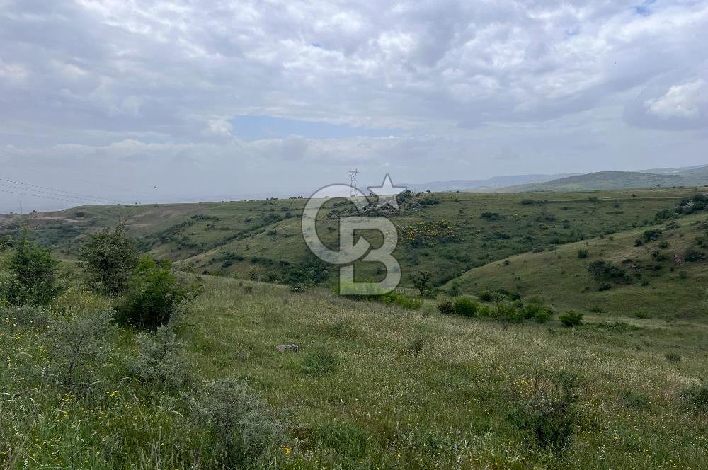 BALIKESİR KARESİ KÖTEYLİ'DE SATILIK TARLA...! 14.901 m2
