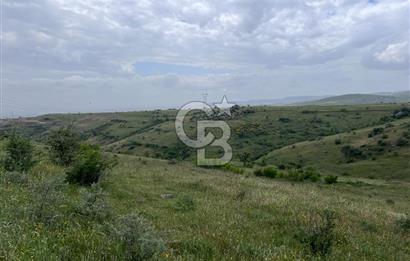 BALIKESİR KARESİ KÖTEYLİ'DE SATILIK TARLA...! 14.901 m2