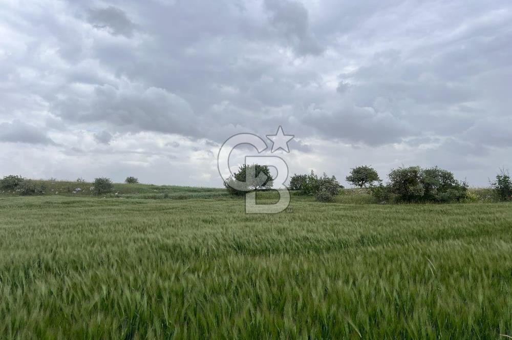 BALIKESİR KARESİ KÖTEYLİ'DE SATILIK TARLA..! 6.344 m2