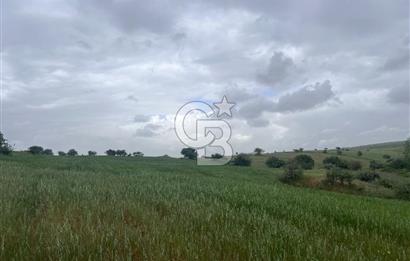 BALIKESİR KARESİ KALAYCILAR'DA SATILIK TARLA..! 11.609 m2