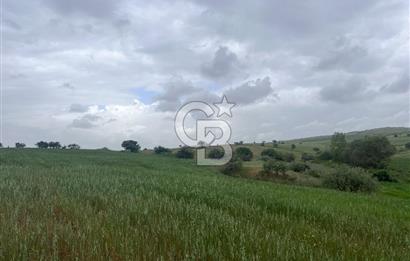 BALIKESİR KARESİ KALAYCILAR'DA SATILIK TARLA..! 11.609 m2
