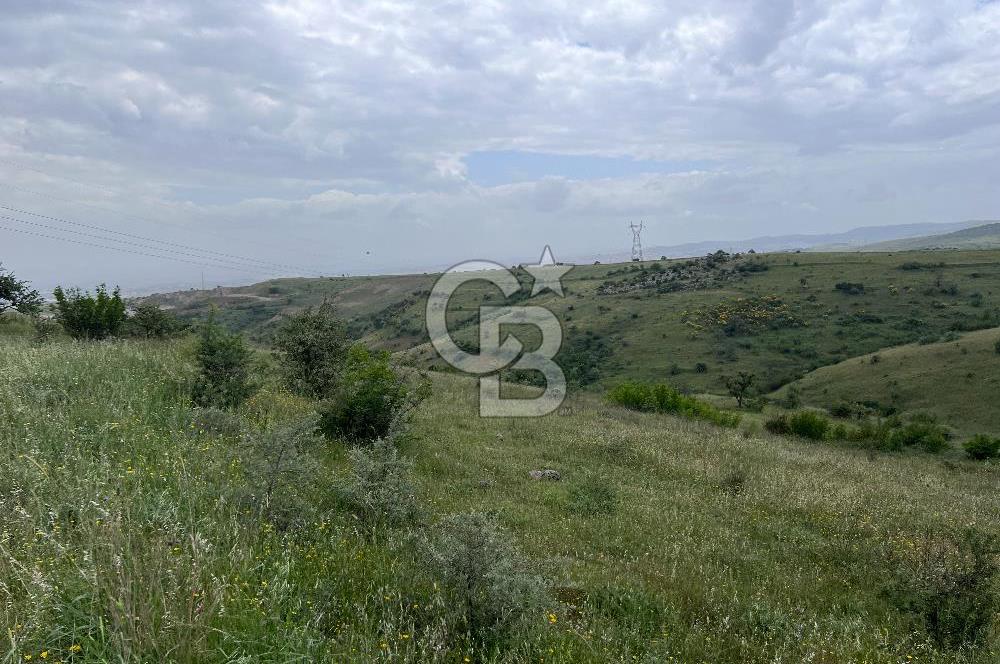 BALIKESİR KARESİ KÖTEYLİ'DE SATILIK TARLA...! 14.901 m2
