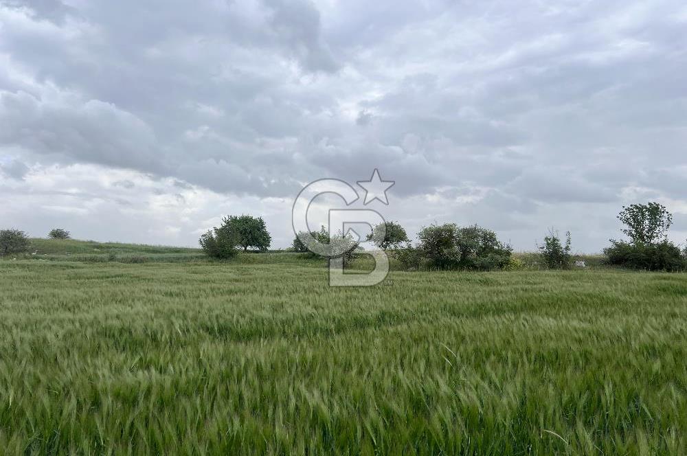 BALIKESİR KARESİ KÖTEYLİ'DE SATILIK TARLA..! 6.344 m2