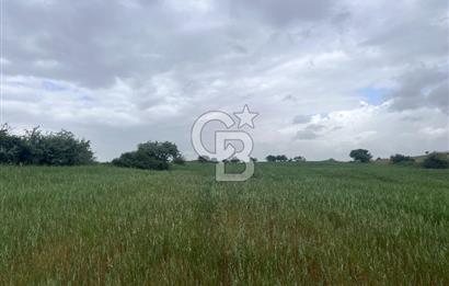 BALIKESİR KARESİ KALAYCILAR'DA SATILIK TARLA..! 11.609 m2