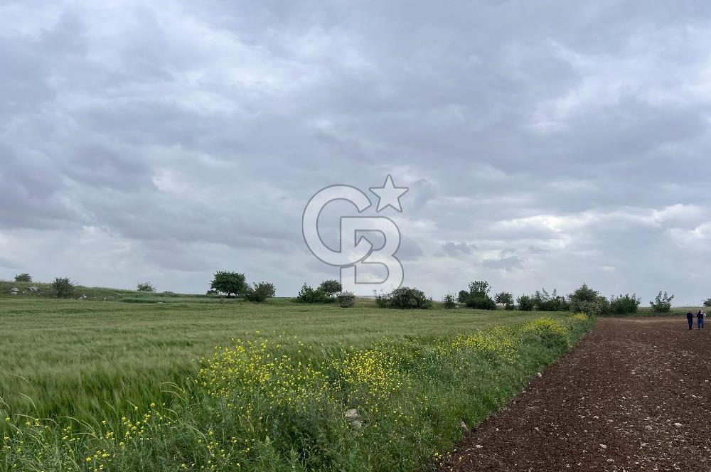 BALIKESİR KARESİ KÖTEYLİ'DE SATILIK TARLA..! 6.344 m2