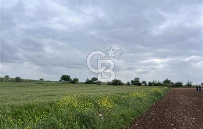 BALIKESİR KARESİ KÖTEYLİ'DE SATILIK TARLA..! 6.344 m2