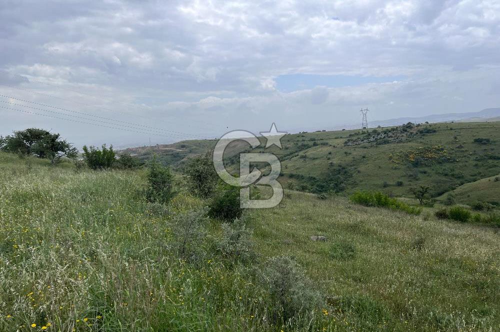 BALIKESİR KARESİ KÖTEYLİ'DE SATILIK TARLA...! 14.901 m2