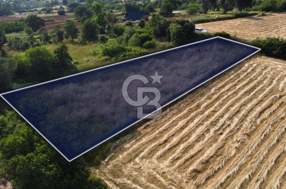 Çanakkale Lapseki Dışbudak Köyü 983 m² Yolu Olan Satılık Tarla