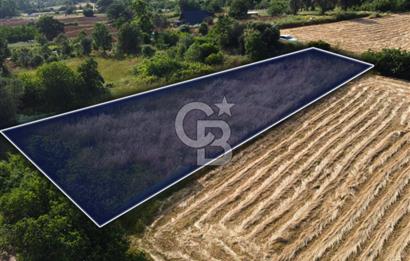 Çanakkale Lapseki Dışbudak Köyü 983 m² Yolu Olan Satılık Tarla