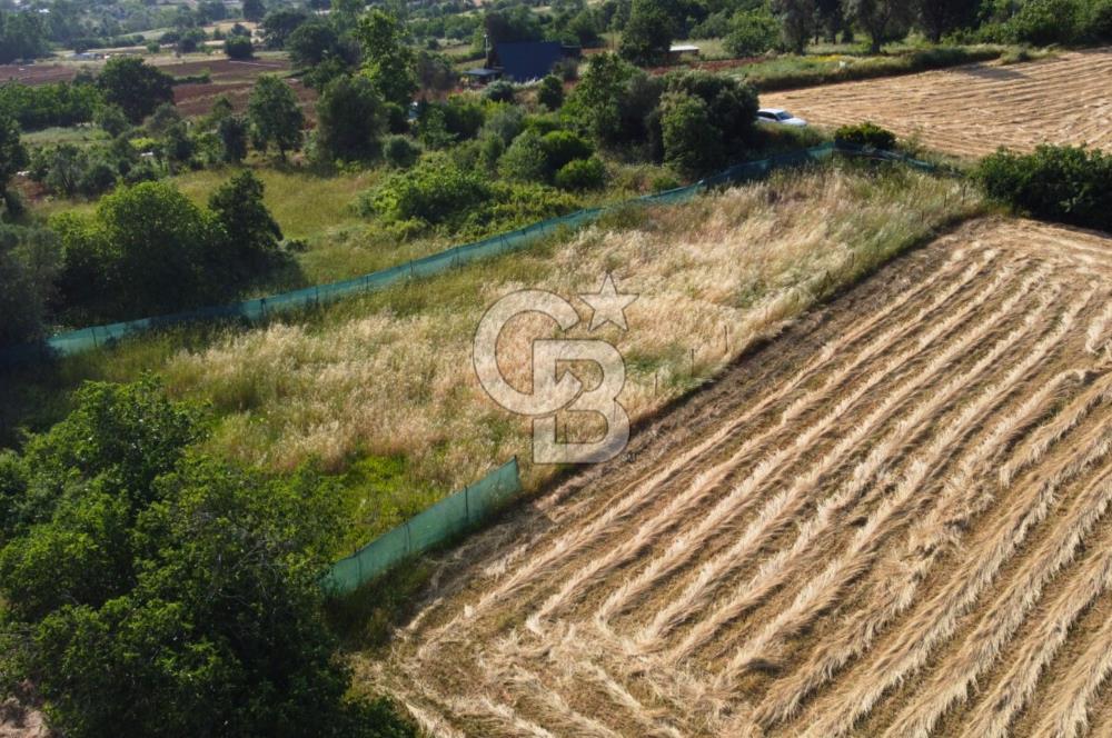Çanakkale Lapseki Dışbudak Köyü 983 m² Yolu Olan Satılık Tarla