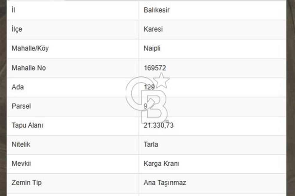BALIKESİR KARESİ NAİPLİ'DE YOLA CEPHE, EMSALSİZ TARLA! 21.330 m2