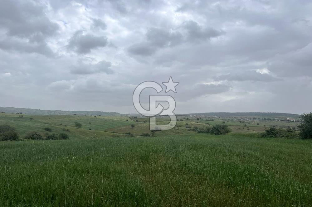BALIKESİR KARESİ KALAYCILAR'DA SATILIK TARLA..! 11.609 m2
