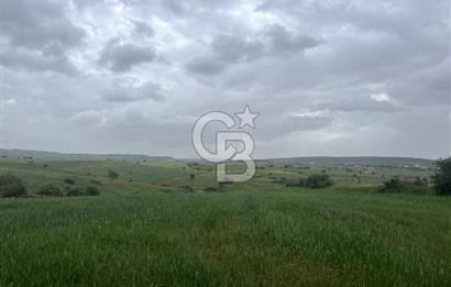 BALIKESİR KARESİ KALAYCILAR'DA SATILIK TARLA..! 11.609 m2