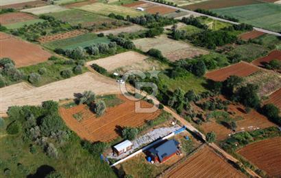 Çanakkale Lapseki Dışbudak Köyü 983 m² Yolu Olan Satılık Tarla