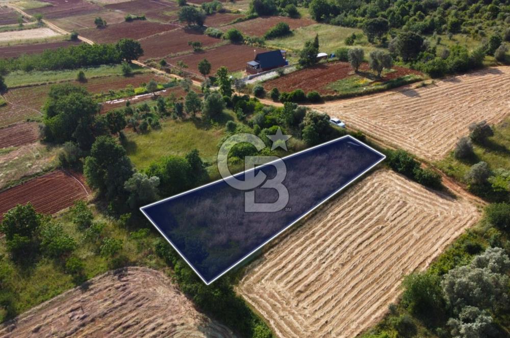Çanakkale Lapseki Dışbudak Köyü 983 m² Yolu Olan Satılık Tarla