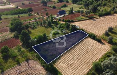 Çanakkale Lapseki Dışbudak Köyü 983 m² Yolu Olan Satılık Tarla