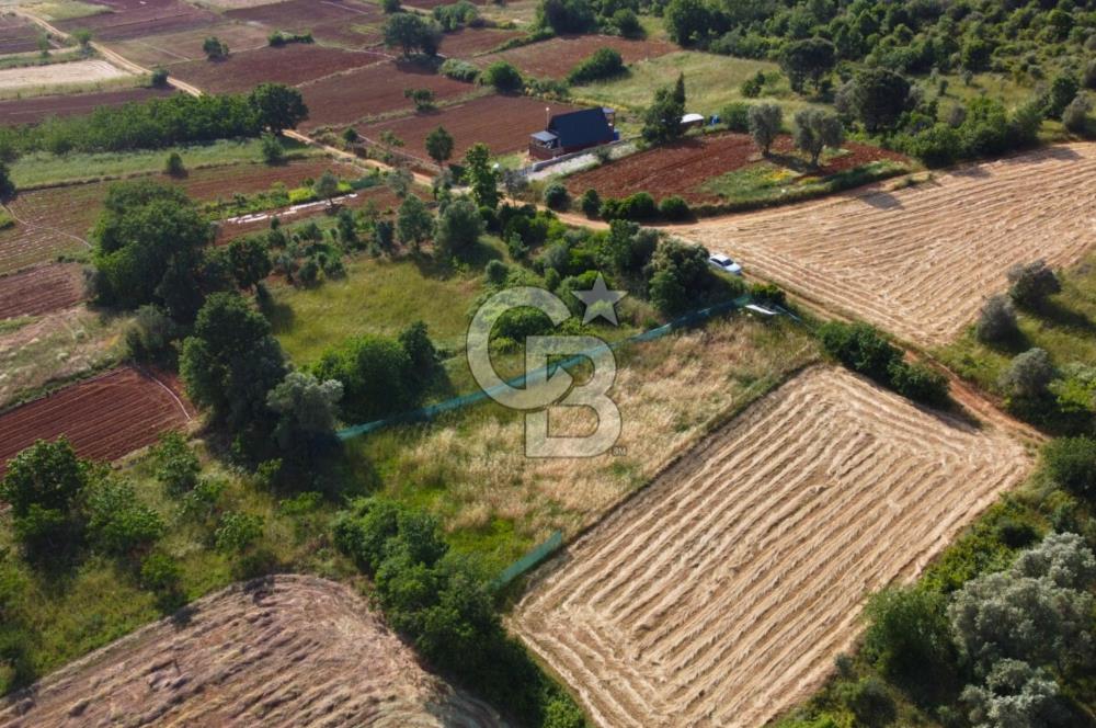 Çanakkale Lapseki Dışbudak Köyü 983 m² Yolu Olan Satılık Tarla